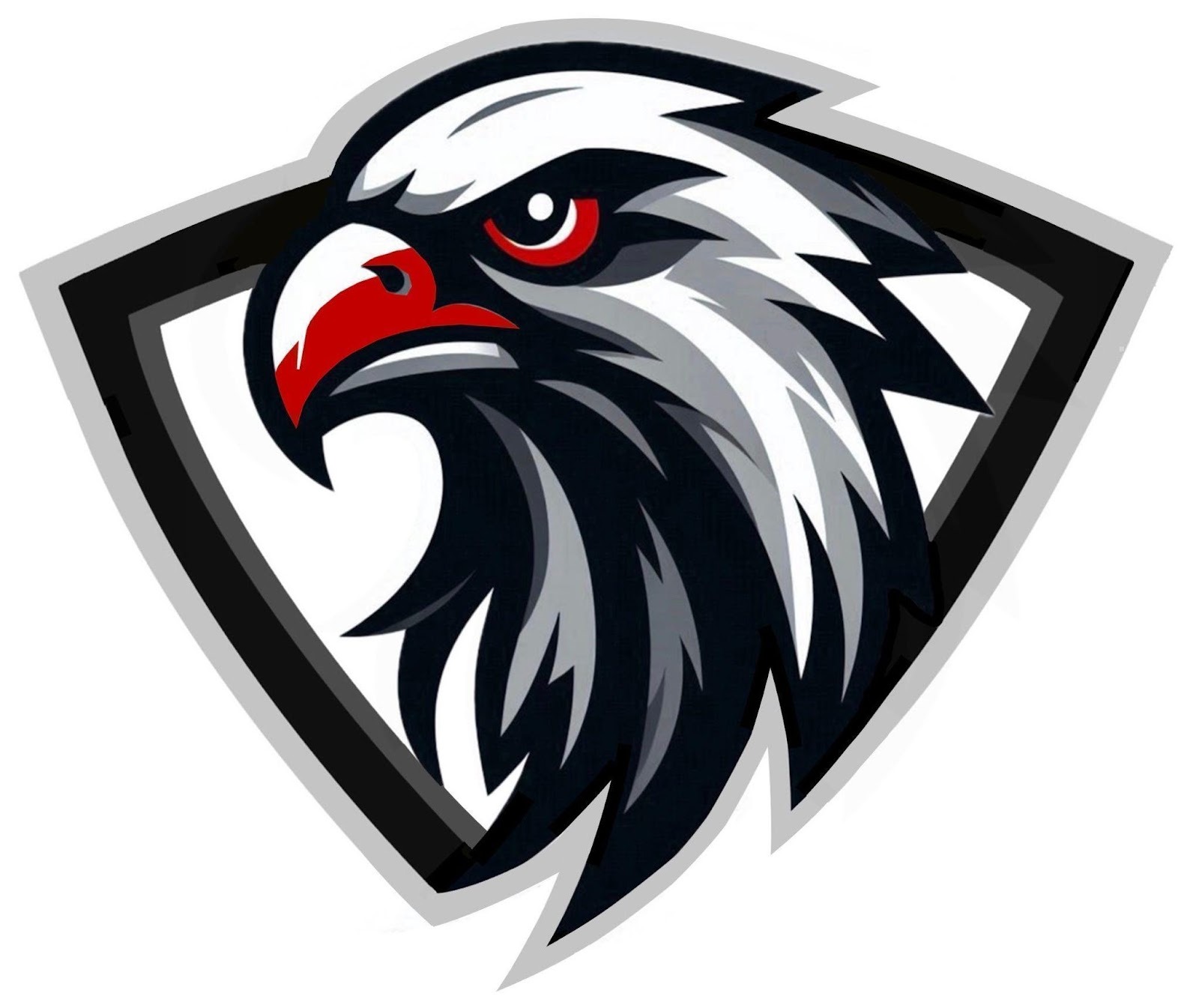 Senior Falcons